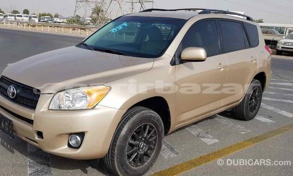 কেনা আমদানি Toyota RAV4 Other গাড়ী মধ্যে ইম্পোর্ট - দুবাই মধ্যে Bandarban কেনা আমদানি Toyota RAV4 Other গাড়ী মধ্যে ইম্পোর্ট - দুবাই মধ্যে Bandarban