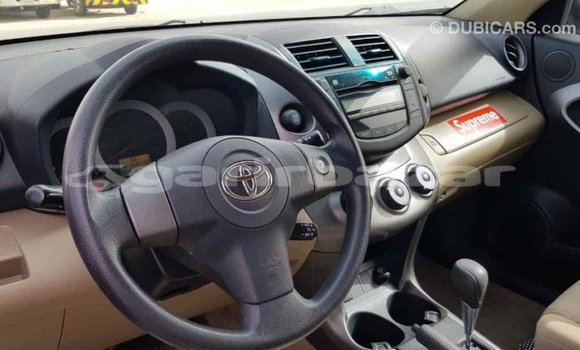 কেনা আমদানি Toyota RAV4 Other গাড়ী মধ্যে ইম্পোর্ট - দুবাই মধ্যে Bandarban কেনা আমদানি Toyota RAV4 Other গাড়ী মধ্যে ইম্পোর্ট - দুবাই মধ্যে Bandarban