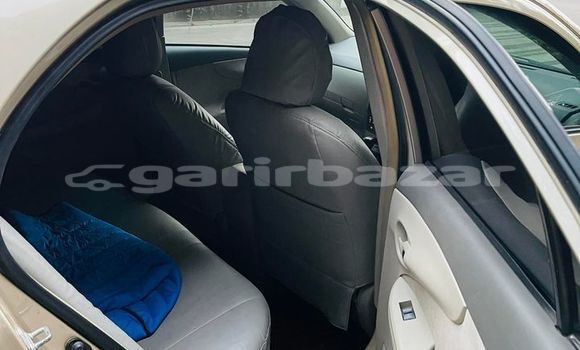 কেনা ব্যবহৃত Toyota Axio Gold গাড়ী মধ্যে ঢাকা মধ্যে Dhaka কেনা ব্যবহৃত Toyota Axio Gold গাড়ী মধ্যে ঢাকা মধ্যে Dhaka