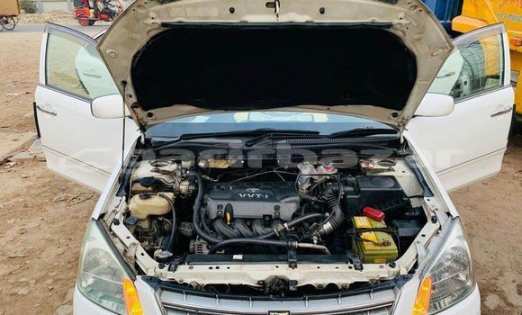 কেনা ব্যবহৃত Toyota Premio White গাড়ী মধ্যে ঢাকা মধ্যে Dhaka কেনা ব্যবহৃত Toyota Premio White গাড়ী মধ্যে ঢাকা মধ্যে Dhaka