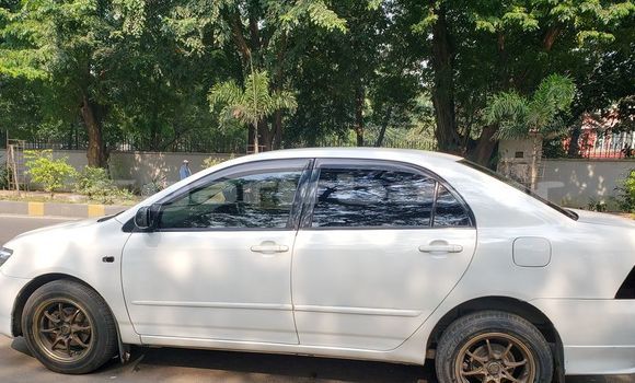 কেনা ব্যবহৃত Toyota Corolla White গাড়ী মধ্যে ঢাকা মধ্যে Dhaka কেনা ব্যবহৃত Toyota Corolla White গাড়ী মধ্যে ঢাকা মধ্যে Dhaka