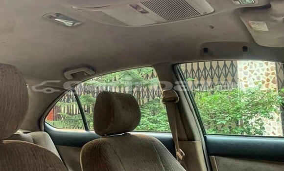 কেনা ব্যবহৃত Toyota Premio Black গাড়ী মধ্যে ঢাকা মধ্যে Dhaka কেনা ব্যবহৃত Toyota Premio Black গাড়ী মধ্যে ঢাকা মধ্যে Dhaka