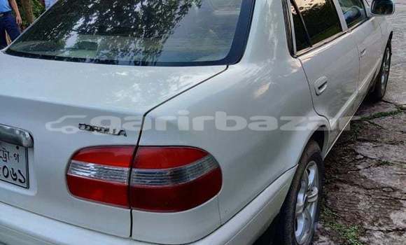 Buy Used 1999 Toyota Corolla in Dhaka, Dhaka Buy Used 1999 Toyota Corolla in Dhaka, Dhaka