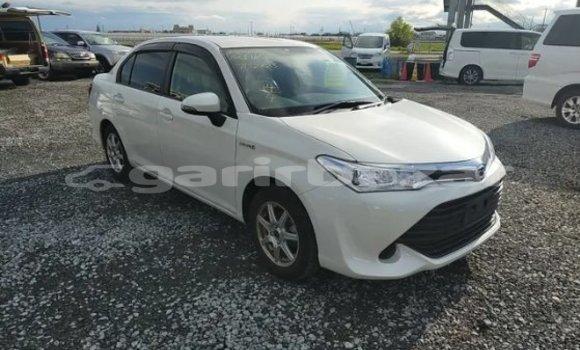 কেনা আমদানি Toyota Axio White গাড়ী মধ্যে ঢাকা মধ্যে Dhaka কেনা আমদানি Toyota Axio White গাড়ী মধ্যে ঢাকা মধ্যে Dhaka