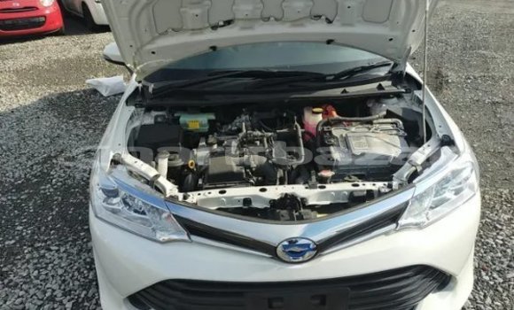 কেনা আমদানি Toyota Axio White গাড়ী মধ্যে ঢাকা মধ্যে Dhaka কেনা আমদানি Toyota Axio White গাড়ী মধ্যে ঢাকা মধ্যে Dhaka