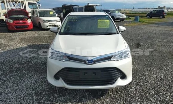 কেনা আমদানি Toyota Axio White গাড়ী মধ্যে ঢাকা মধ্যে Dhaka কেনা আমদানি Toyota Axio White গাড়ী মধ্যে ঢাকা মধ্যে Dhaka