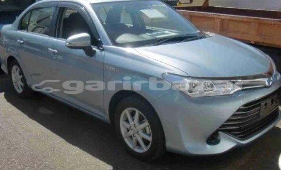 কেনা আমদানি Toyota Axio Blue গাড়ী মধ্যে ঢাকা মধ্যে Dhaka কেনা আমদানি Toyota Axio Blue গাড়ী মধ্যে ঢাকা মধ্যে Dhaka