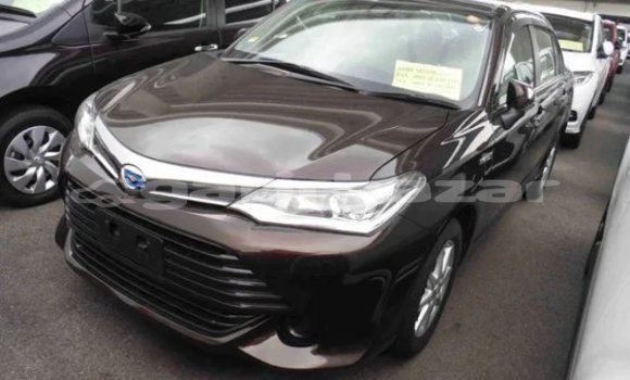 কেনা আমদানি Toyota Axio Brown গাড়ী মধ্যে ঢাকা মধ্যে Dhaka কেনা আমদানি Toyota Axio Brown গাড়ী মধ্যে ঢাকা মধ্যে Dhaka