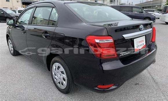কেনা আমদানি Toyota Axio Black গাড়ী মধ্যে ঢাকা মধ্যে Dhaka কেনা আমদানি Toyota Axio Black গাড়ী মধ্যে ঢাকা মধ্যে Dhaka