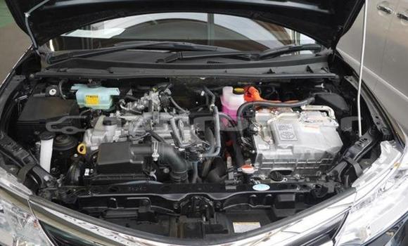 কেনা আমদানি Toyota Fielder Black গাড়ী মধ্যে ঢাকা মধ্যে Dhaka কেনা আমদানি Toyota Fielder Black গাড়ী মধ্যে ঢাকা মধ্যে Dhaka