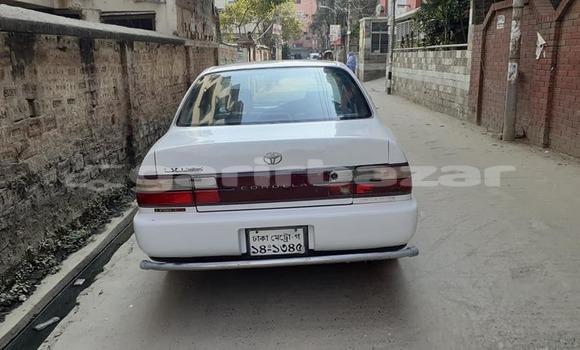 কেনা ব্যবহৃত Toyota Corolla White গাড়ী মধ্যে ঢাকা মধ্যে Dhaka কেনা ব্যবহৃত Toyota Corolla White গাড়ী মধ্যে ঢাকা মধ্যে Dhaka