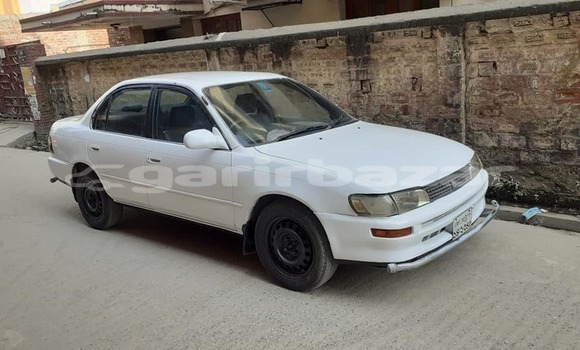 কেনা ব্যবহৃত Toyota Corolla White গাড়ী মধ্যে ঢাকা মধ্যে Dhaka কেনা ব্যবহৃত Toyota Corolla White গাড়ী মধ্যে ঢাকা মধ্যে Dhaka