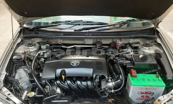 কেনা ব্যবহৃত Toyota Corolla Gold গাড়ী মধ্যে ঢাকা মধ্যে Dhaka কেনা ব্যবহৃত Toyota Corolla Gold গাড়ী মধ্যে ঢাকা মধ্যে Dhaka
