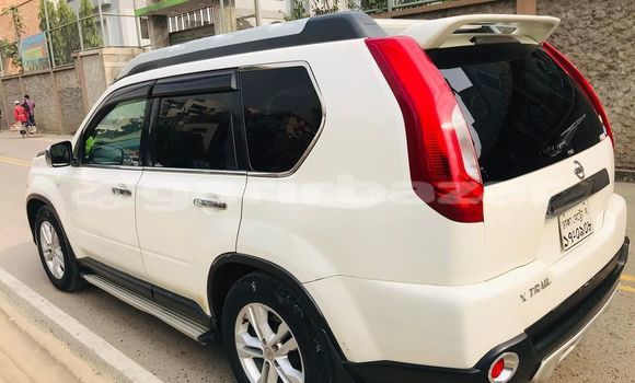 কেনা ব্যবহৃত Nissan X-Trail White গাড়ী মধ্যে ঢাকা মধ্যে Dhaka কেনা ব্যবহৃত Nissan X-Trail White গাড়ী মধ্যে ঢাকা মধ্যে Dhaka