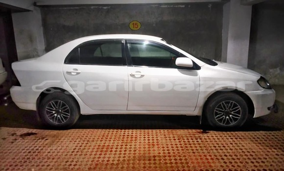 কেনা ব্যবহৃত Toyota Corolla White গাড়ী মধ্যে ঢাকা মধ্যে Dhaka কেনা ব্যবহৃত Toyota Corolla White গাড়ী মধ্যে ঢাকা মধ্যে Dhaka