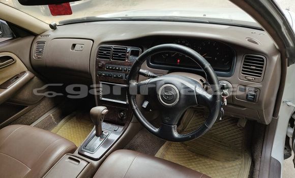 কেনা ব্যবহৃত Toyota Mark II White গাড়ী মধ্যে ঢাকা মধ্যে Dhaka কেনা ব্যবহৃত Toyota Mark II White গাড়ী মধ্যে ঢাকা মধ্যে Dhaka