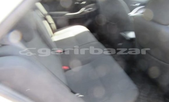 কেনা আমদানি Toyota Premio White গাড়ী মধ্যে ঢাকা মধ্যে Dhaka কেনা আমদানি Toyota Premio White গাড়ী মধ্যে ঢাকা মধ্যে Dhaka