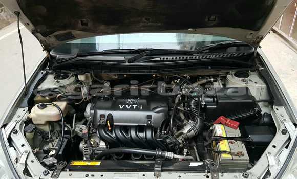 কেনা ব্যবহৃত Toyota Premio Silver গাড়ী মধ্যে ঢাকা মধ্যে Dhaka কেনা ব্যবহৃত Toyota Premio Silver গাড়ী মধ্যে ঢাকা মধ্যে Dhaka