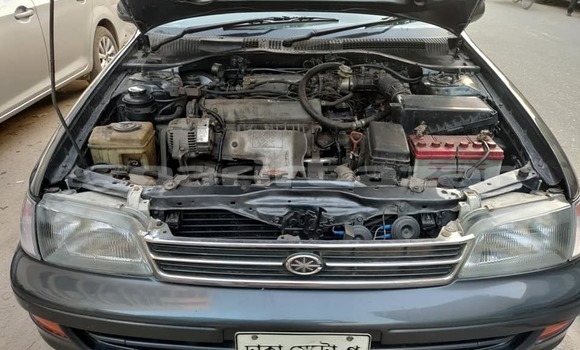 কেনা ব্যবহৃত Toyota Corona Grey গাড়ী মধ্যে ঢাকা মধ্যে Dhaka কেনা ব্যবহৃত Toyota Corona Grey গাড়ী মধ্যে ঢাকা মধ্যে Dhaka