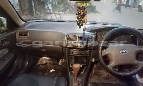 Buy Used 1995 Toyota Corolla in Dhaka, Dhaka Buy Used 1995 Toyota Corolla in Dhaka, Dhaka