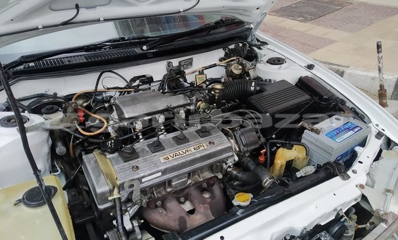 কেনা ব্যবহৃত Toyota Sprinter White গাড়ী মধ্যে ঢাকা মধ্যে Dhaka কেনা ব্যবহৃত Toyota Sprinter White গাড়ী মধ্যে ঢাকা মধ্যে Dhaka