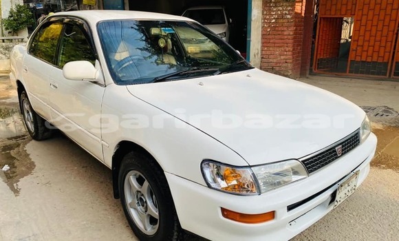 কেনা ব্যবহৃত Toyota Corolla White গাড়ী মধ্যে ঢাকা মধ্যে Dhaka কেনা ব্যবহৃত Toyota Corolla White গাড়ী মধ্যে ঢাকা মধ্যে Dhaka