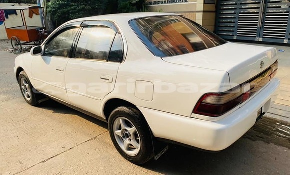 কেনা ব্যবহৃত Toyota Corolla White গাড়ী মধ্যে ঢাকা মধ্যে Dhaka কেনা ব্যবহৃত Toyota Corolla White গাড়ী মধ্যে ঢাকা মধ্যে Dhaka
