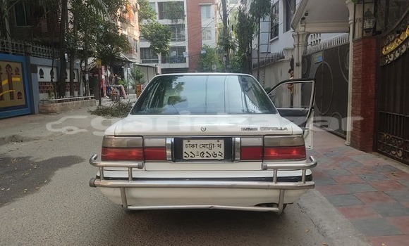 কেনা ব্যবহৃত Toyota Corolla White গাড়ী মধ্যে ঢাকা মধ্যে Dhaka কেনা ব্যবহৃত Toyota Corolla White গাড়ী মধ্যে ঢাকা মধ্যে Dhaka