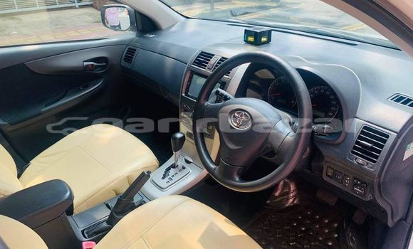 কেনা ব্যবহৃত Toyota Fielder White গাড়ী মধ্যে ঢাকা মধ্যে Dhaka কেনা ব্যবহৃত Toyota Fielder White গাড়ী মধ্যে ঢাকা মধ্যে Dhaka