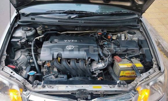 কেনা ব্যবহৃত Toyota Corolla Silver গাড়ী মধ্যে ঢাকা মধ্যে Dhaka কেনা ব্যবহৃত Toyota Corolla Silver গাড়ী মধ্যে ঢাকা মধ্যে Dhaka