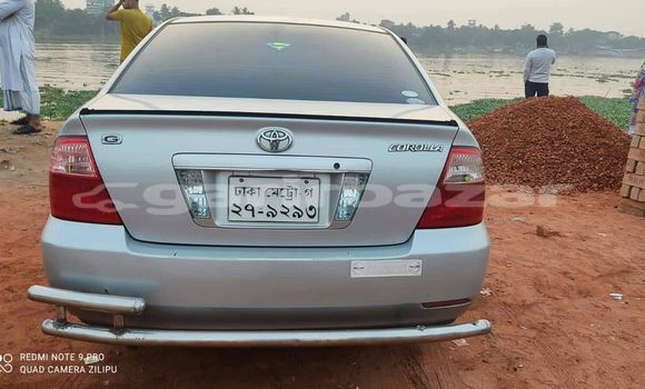 কেনা ব্যবহৃত Toyota Corolla Silver গাড়ী মধ্যে ঢাকা মধ্যে Dhaka কেনা ব্যবহৃত Toyota Corolla Silver গাড়ী মধ্যে ঢাকা মধ্যে Dhaka
