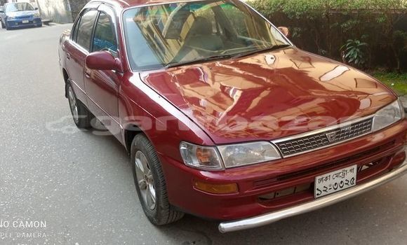 কেনা ব্যবহৃত Toyota Corolla Red গাড়ী মধ্যে ঢাকা মধ্যে Dhaka কেনা ব্যবহৃত Toyota Corolla Red গাড়ী মধ্যে ঢাকা মধ্যে Dhaka