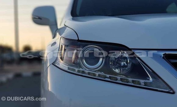 Buy Import 2014 Lexus RX 350 in Import - Dubai, Bandarban