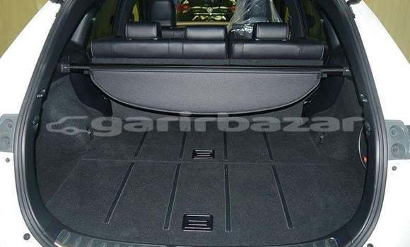 কেনা আমদানি Toyota Harrier White গাড়ী মধ্যে ঢাকা মধ্যে Dhaka কেনা আমদানি Toyota Harrier White গাড়ী মধ্যে ঢাকা মধ্যে Dhaka