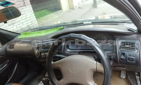 কিনুন ব্যবহৃত Toyota গাড়ী কিনুন ব্যবহৃত Toyota গাড়ী