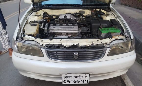 Buy Used 2000 Toyota Corolla in Dhaka, Dhaka Buy Used 2000 Toyota Corolla in Dhaka, Dhaka