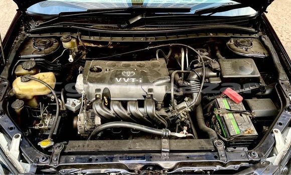 কেনা ব্যবহৃত Toyota Premio Black গাড়ী মধ্যে ঢাকা মধ্যে Dhaka কেনা ব্যবহৃত Toyota Premio Black গাড়ী মধ্যে ঢাকা মধ্যে Dhaka