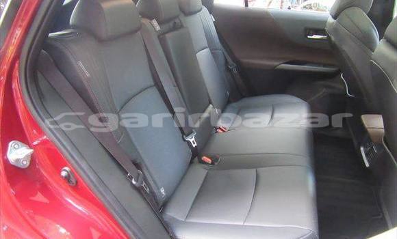 কেনা আমদানি Toyota Harrier Red গাড়ী মধ্যে ঢাকা মধ্যে Dhaka কেনা আমদানি Toyota Harrier Red গাড়ী মধ্যে ঢাকা মধ্যে Dhaka