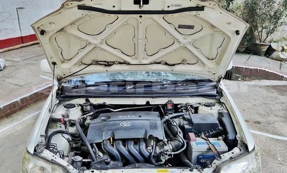 কেনা ব্যবহৃত Toyota Corolla White গাড়ী মধ্যে ঢাকা মধ্যে Dhaka কেনা ব্যবহৃত Toyota Corolla White গাড়ী মধ্যে ঢাকা মধ্যে Dhaka