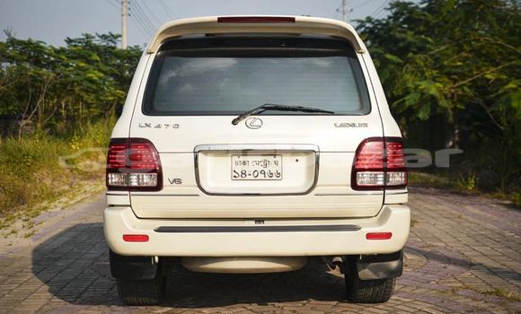 Katya jakuzida sikiladi