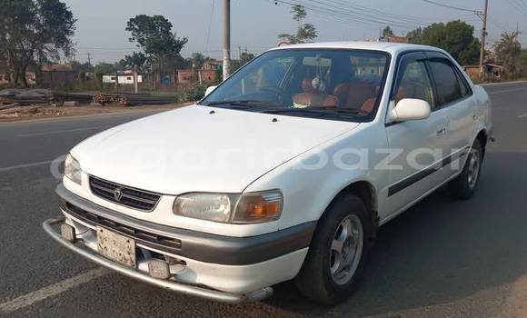 Buy Used 1997 Toyota Corolla 111 in Dhaka, Dhaka Buy Used 1997 Toyota Corolla 111 in Dhaka, Dhaka
