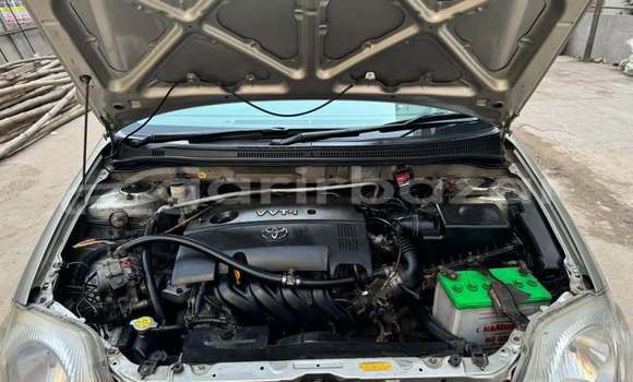 কেনা ব্যবহৃত Toyota corolla White গাড়ী মধ্যে ঢাকা মধ্যে Dhaka কেনা ব্যবহৃত Toyota corolla White গাড়ী মধ্যে ঢাকা মধ্যে Dhaka