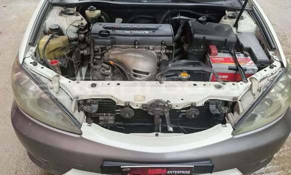 কেনা ব্যবহৃত Toyota Camry White গাড়ী মধ্যে ঢাকা মধ্যে Dhaka কেনা ব্যবহৃত Toyota Camry White গাড়ী মধ্যে ঢাকা মধ্যে Dhaka