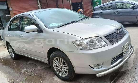 কেনা ব্যবহৃত Toyota X corolla Other গাড়ী মধ্যে ঢাকা মধ্যে Dhaka কেনা ব্যবহৃত Toyota X corolla Other গাড়ী মধ্যে ঢাকা মধ্যে Dhaka
