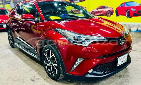 কেনা ব্যবহৃত Toyota C-HR Red গাড়ী মধ্যে ঢাকা মধ্যে Dhaka কেনা ব্যবহৃত Toyota C-HR Red গাড়ী মধ্যে ঢাকা মধ্যে Dhaka