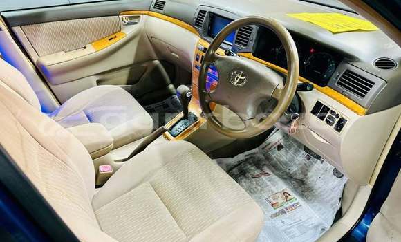 কেনা ব্যবহৃত Toyota corolla Blue গাড়ী মধ্যে ঢাকা মধ্যে Dhaka কেনা ব্যবহৃত Toyota corolla Blue গাড়ী মধ্যে ঢাকা মধ্যে Dhaka