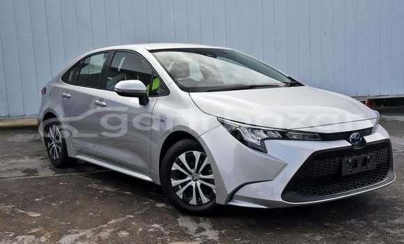 Buy Used 2019 Toyota corolla in Dhaka, Dhaka Buy Used 2019 Toyota corolla in Dhaka, Dhaka