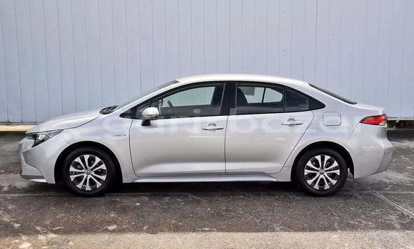 Buy Used 2019 Toyota corolla in Dhaka, Dhaka Buy Used 2019 Toyota corolla in Dhaka, Dhaka