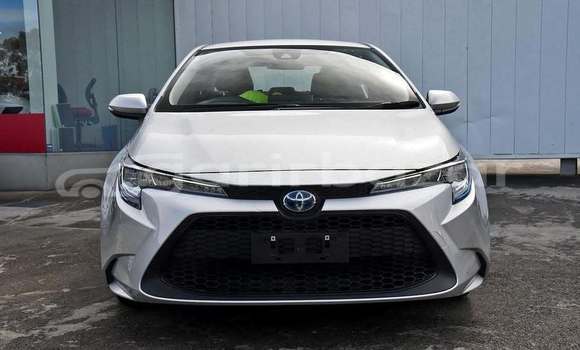 Buy Used 2019 Toyota corolla in Dhaka, Dhaka Buy Used 2019 Toyota corolla in Dhaka, Dhaka