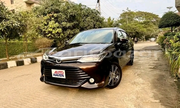 কেনা ব্যবহৃত Toyota Axio Bronze গাড়ী মধ্যে বাজিতপুর মধ্যে Kishorganj কেনা ব্যবহৃত Toyota Axio Bronze গাড়ী মধ্যে বাজিতপুর মধ্যে Kishorganj